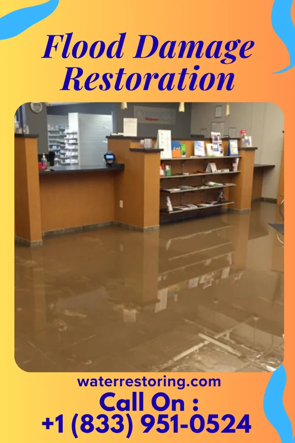 Flood Damage Restoration in Le Sueur, MN