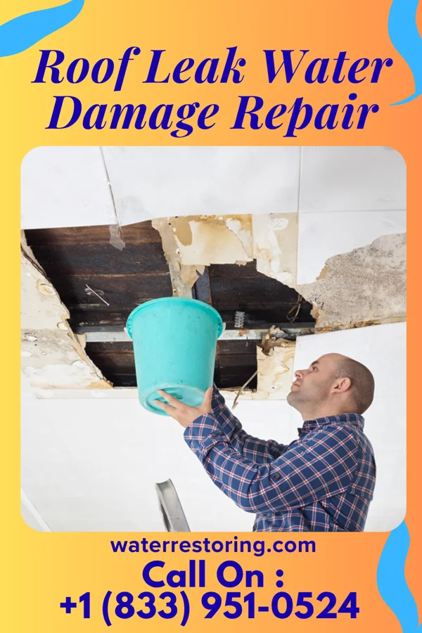 Roof Leak Water Damage Repair in Le Sueur, MN