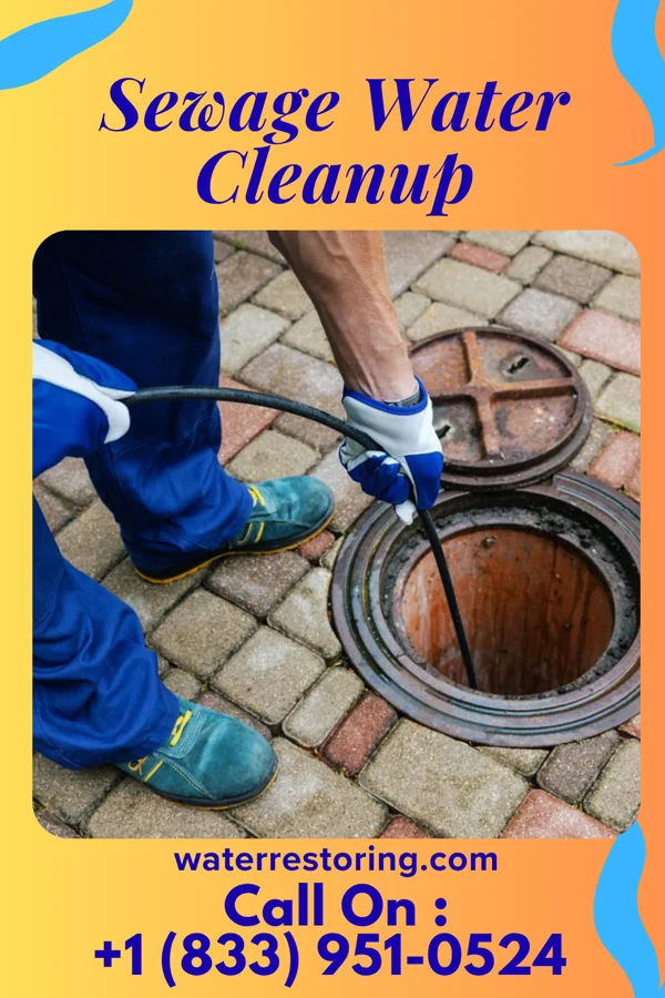 Sewage Water Cleanup in Le Sueur, MN
